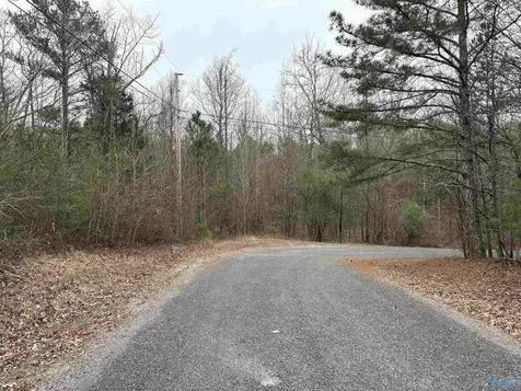 Lots 30&31 Chawnee Circle Scottsboro AL 35768