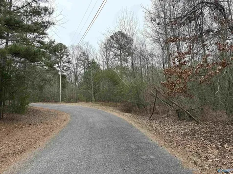 Lots 30&31 Chawnee Circle Scottsboro AL 35768