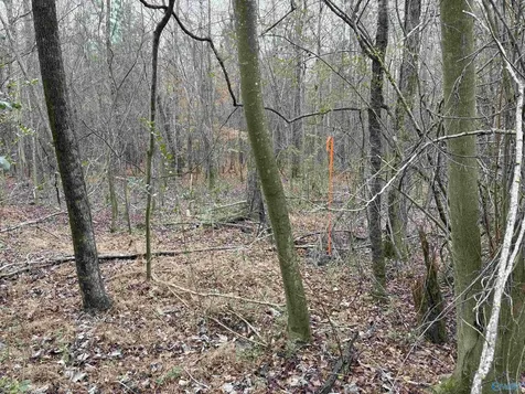 Lots 30&31 Chawnee Circle Scottsboro AL 35768