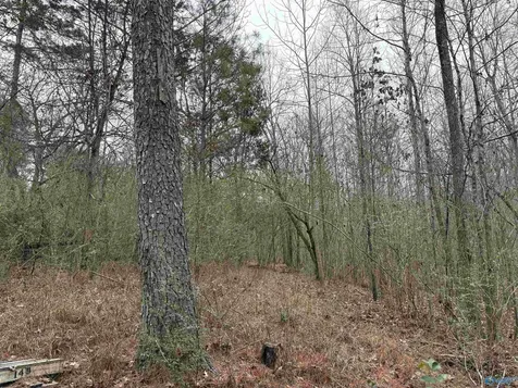 Lots 30&31 Chawnee Circle Scottsboro AL 35768