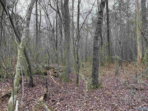 Lots 30&31 Chawnee Circle Scottsboro AL 35768