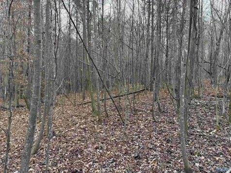 Lots 30&31 Chawnee Circle Scottsboro AL 35768