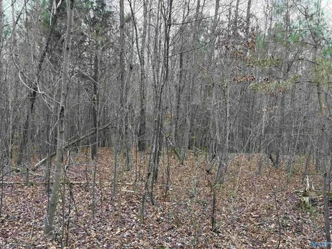 Lots 30&31 Chawnee Circle Scottsboro AL 35768