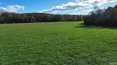 13.76 Acres Nance Road Madison AL 35757
