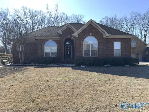 17550 Clearview Street Athens AL 35611