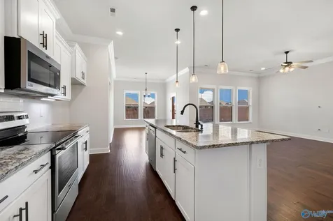147 Rita Ann Way Meridianville AL 35759