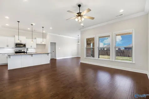 147 Rita Ann Way Meridianville AL 35759