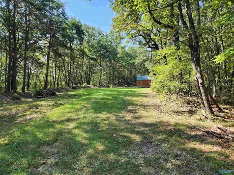 1770 County Road 103 Mentone AL 35984