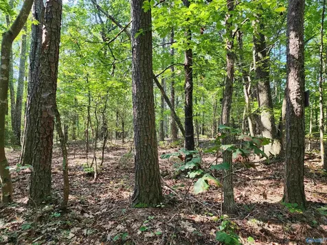 1770 County Road 103 Mentone AL 35984