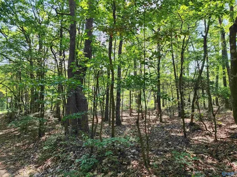 1770 County Road 103 Mentone AL 35984
