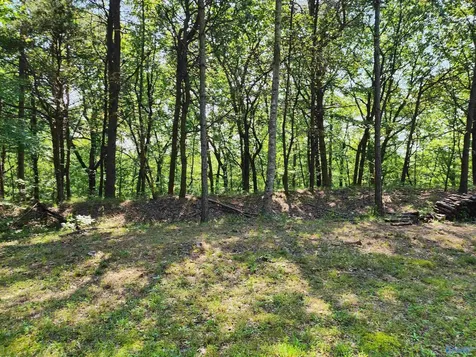 1770 County Road 103 Mentone AL 35984