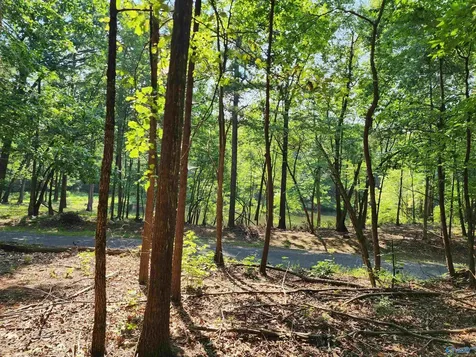 1770 County Road 103 Mentone AL 35984