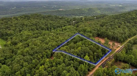 1770 County Road 103 Mentone AL 35984