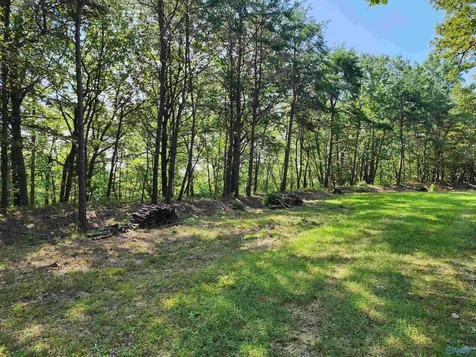 1770 County Road 103 Mentone AL 35984