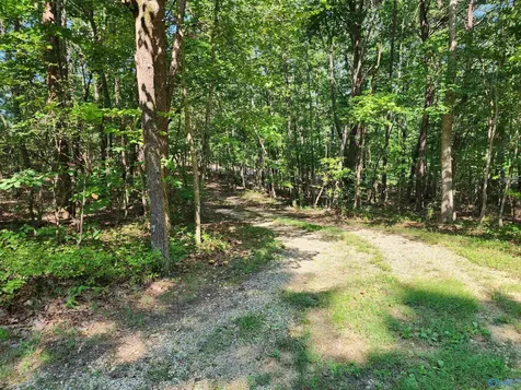 1770 County Road 103 Mentone AL 35984