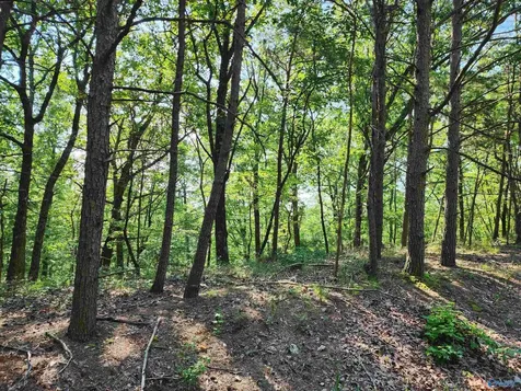 1770 County Road 103 Mentone AL 35984