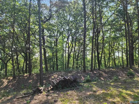 1770 County Road 103 Mentone AL 35984