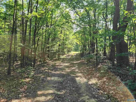 1770 County Road 103 Mentone AL 35984