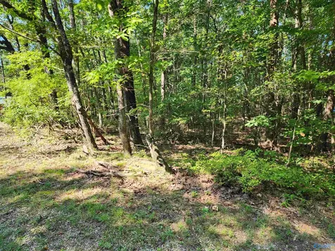1770 County Road 103 Mentone AL 35984