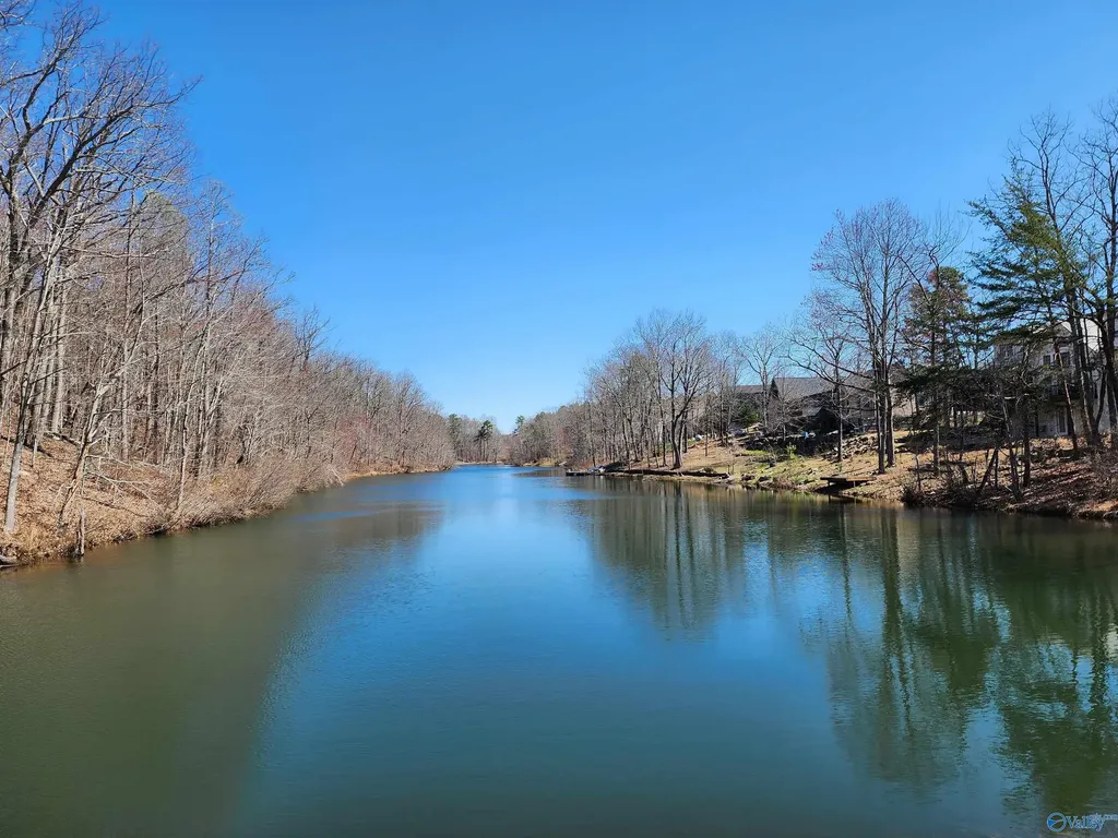 Lot 85 County Road 839 Mentone AL 35984