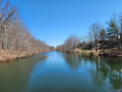 Lot 85 County Road 839 Mentone AL 35984