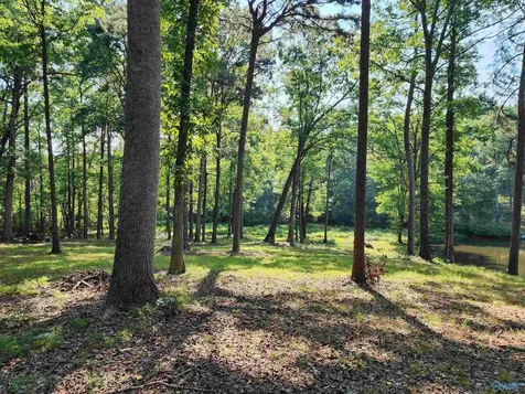Lot 85 County Road 839 Mentone AL 35984