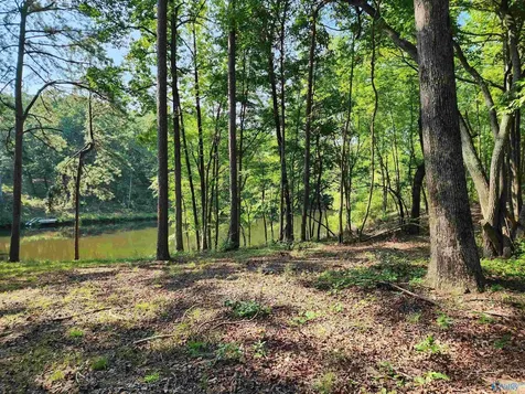 Lot 85 County Road 839 Mentone AL 35984