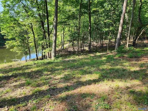 Lot 85 County Road 839 Mentone AL 35984