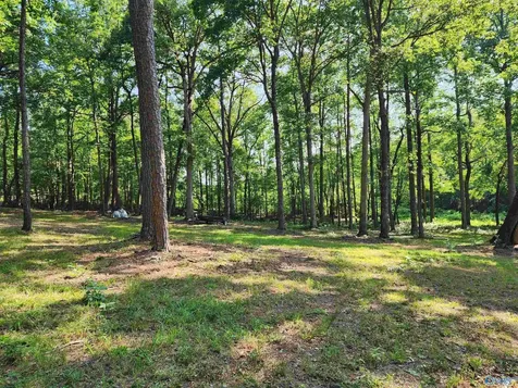 Lot 85 County Road 839 Mentone AL 35984