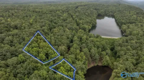 Lot 85 County Road 839 Mentone AL 35984