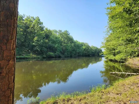 Lot 85 County Road 839 Mentone AL 35984
