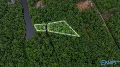 Lot 85 County Road 839 Mentone AL 35984