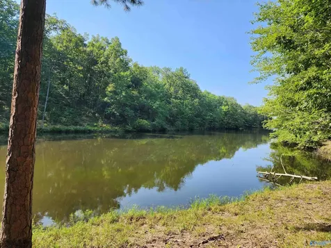 Lot 85 County Road 839 Mentone AL 35984