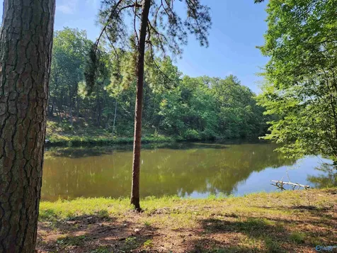 Lot 85 County Road 839 Mentone AL 35984