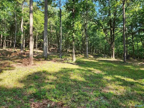 Lot 85 County Road 839 Mentone AL 35984