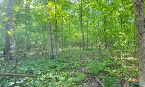 140 Ben Johnson Road Pulaski TN 38478