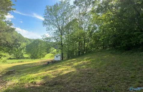 140 Ben Johnson Road Pulaski TN 38478