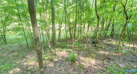 140 Ben Johnson Road Pulaski TN 38478