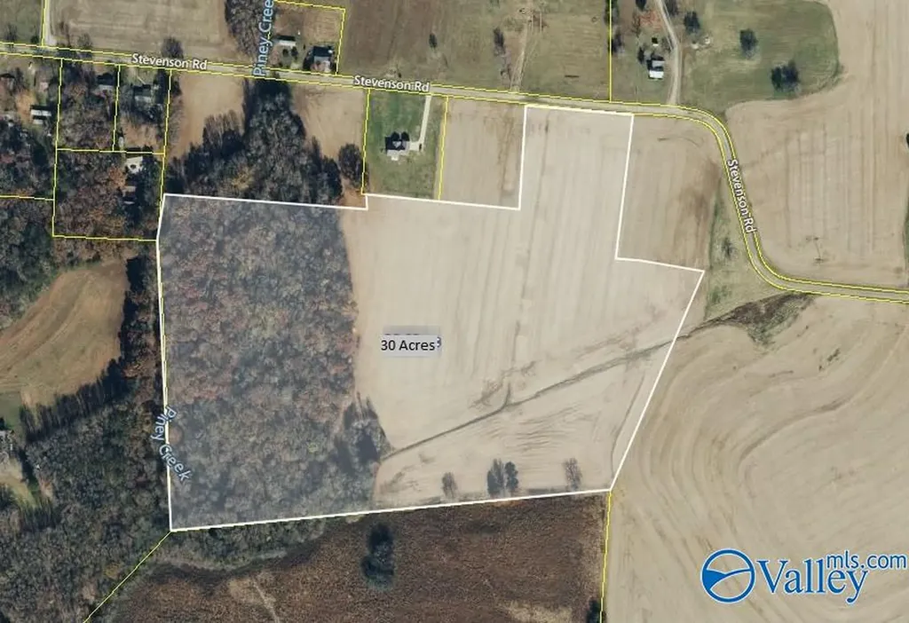 30ACRES Stevenson Road Ardmore TN 38449