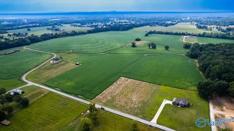 30ACRES Stevenson Road Ardmore TN 38449