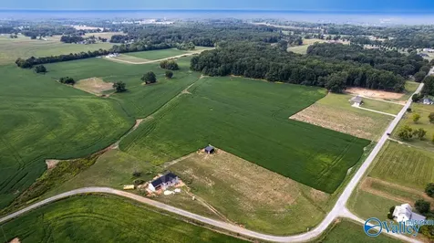 30ACRES Stevenson Road Ardmore TN 38449