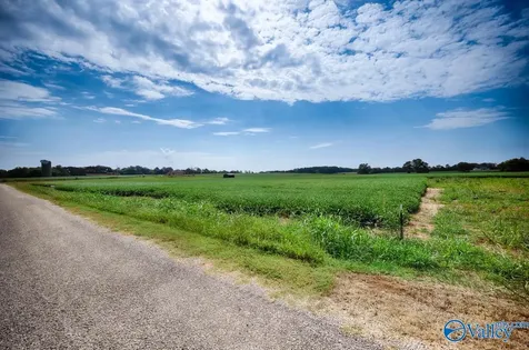 30ACRES Stevenson Road Ardmore TN 38449