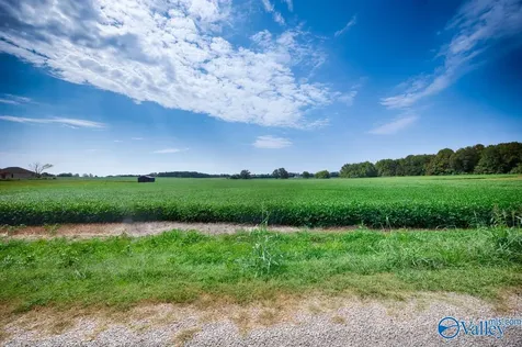 30ACRES Stevenson Road Ardmore TN 38449
