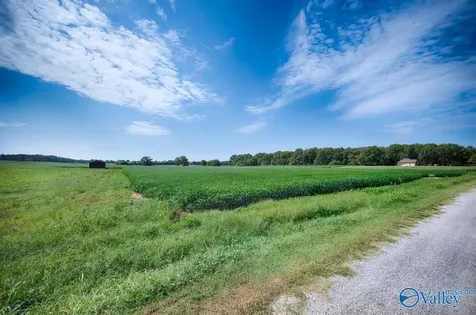 30ACRES Stevenson Road Ardmore TN 38449