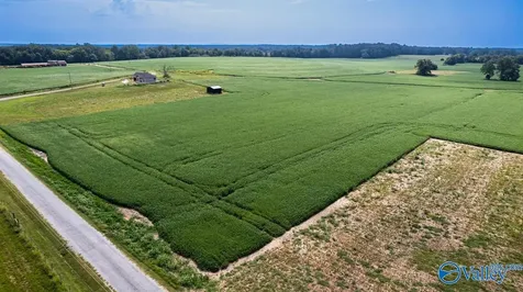 30ACRES Stevenson Road Ardmore TN 38449
