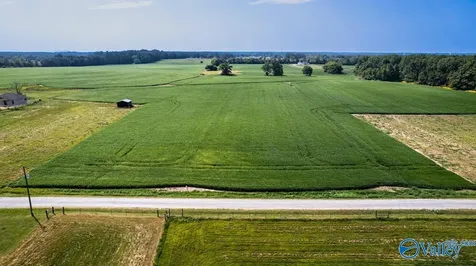 30ACRES Stevenson Road Ardmore TN 38449