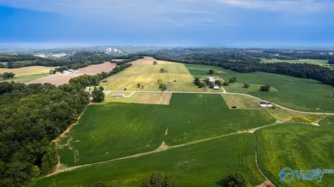 30ACRES Stevenson Road Ardmore TN 38449