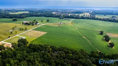 30ACRES Stevenson Road Ardmore TN 38449