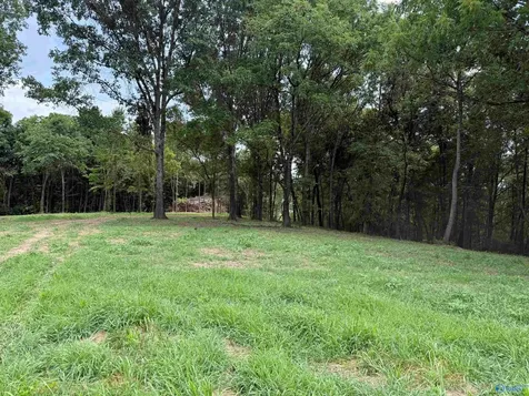 12 Acres Bunker Hill Road Pulaski TN 38478