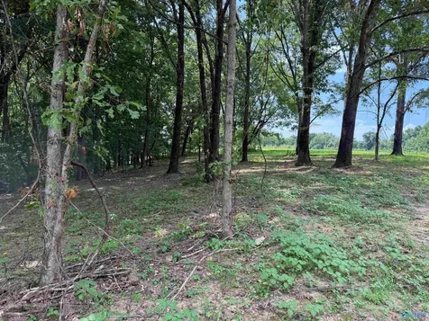 12 Acres Bunker Hill Road Pulaski TN 38478